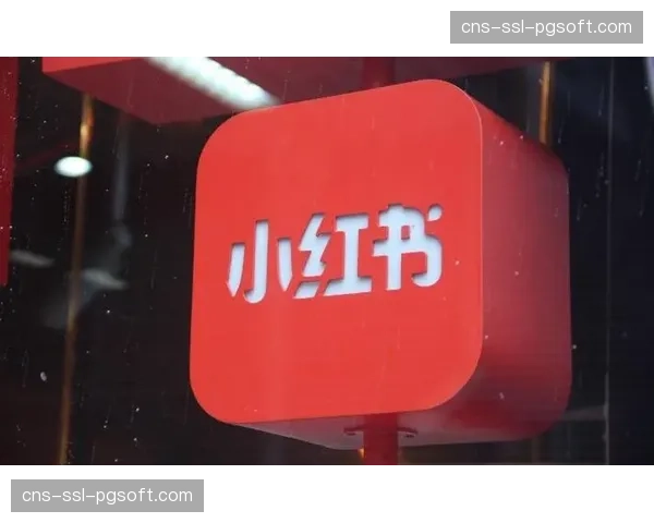 当前阶段，个性化内容订阅套餐成为平台差异化竞争焦点